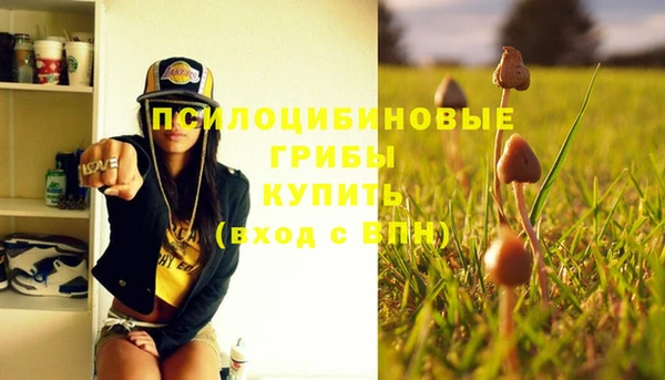 трава Кулебаки