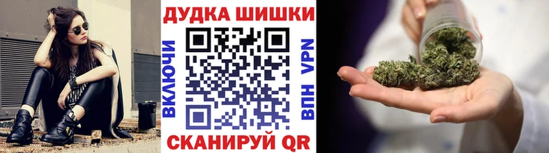 Конопля сатива  продажа наркотиков  Кондрово 